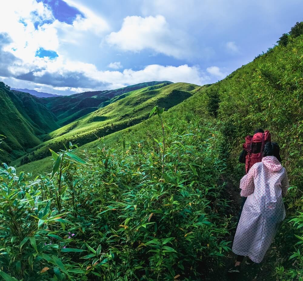 Dzukou Valley Trek- cloudninenortheast